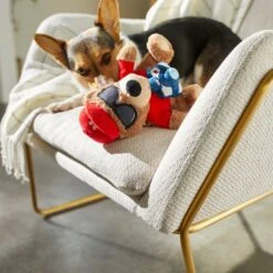 Frisco Road Trip Tourist Bear Plush Squeaky Dog Toy -PetSafe Kong Shop 261995 PT3. AC SS1800 V1618598730