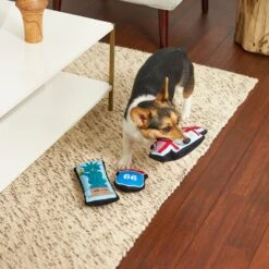 Frisco Road Trip Sightseeing Plush Squeaky Dog Toy, 3 Count -PetSafe Kong Shop 262001 PT3. AC SS1800 V1618598716