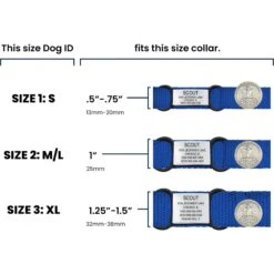 DOG ID Personalized Dog ID Tag -PetSafe Kong Shop 262031 PT2. AC SS1800 V1685989823