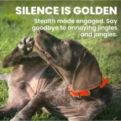 DOG ID Personalized Dog ID Tag -PetSafe Kong Shop 262031 PT4. AC SS1800 V1685986071