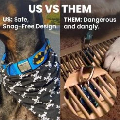 DOG ID Personalized Dog ID Tag -PetSafe Kong Shop 262031 PT5. AC SS1800 V1685986514