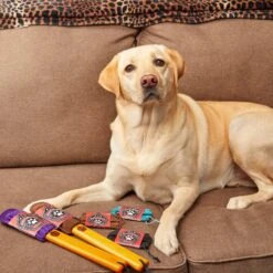 Furrfighters Furrniture Brush Pet Hair & Lint Removal Brush -PetSafe Kong Shop 262078 PT7. AC SS1800 V1648516590