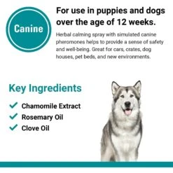 VetClassics Safety Zone Natural Herbal Calming Spray For Dogs, 8-oz -PetSafe Kong Shop 262760 PT6. AC SS1800 V1614358322
