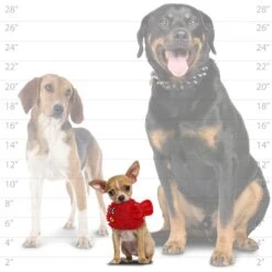 Mighty MicroFiber Balls Blowfish Plush Dog Toy -PetSafe Kong Shop 264165 PT4. AC SS1800 V1628107291