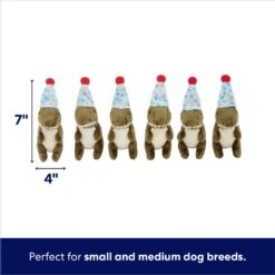 Frisco Birthday Volcano & Dinosaurs Hide & Seek Puzzle Plush Squeaky Dog Toy -PetSafe Kong Shop 264424 PT2. AC SS1800 V1695761147