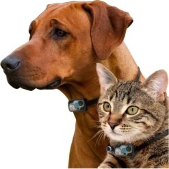 High Tech Pet Products WiFi Enabled Smartphone Controlled Automatic Dog & Cat Door & Wall Installation Kit -PetSafe Kong Shop 264506 PT2. AC SS1800 V1608353841