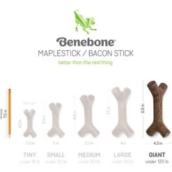 Benebone Bacon Stick Chew Dog Toy -PetSafe Kong Shop 265108 PT5. AC SS1800 V1612397816