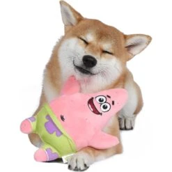 Fetch For Pets SpongeBob Patrick Squeaky Plush Dog Toy -PetSafe Kong Shop 265311 PT4. AC SS1800 V1611091716