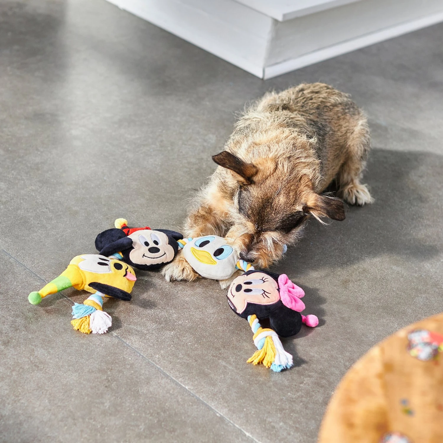 Disney Mickey Mouse & Friends Birthday Plush With Rope Squeaky Dog Toy 3 Disney Mickey Mouse & Friends Birthday Plush With Rope Squeaky Dog Toy - Image 3