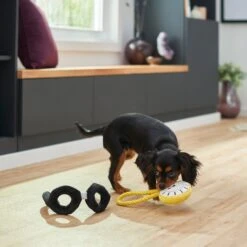 Frisco Magic Pocket Watch & Glasses Plush Squeaky Dog Toy, 2 Count -PetSafe Kong Shop 265590 PT3. AC SS1800 V1620938935