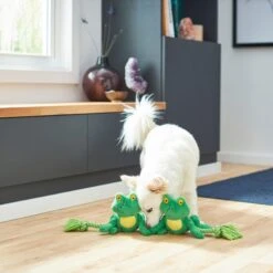 Frisco Magic Frog Plush With Rope Squeaky Dog Toy -PetSafe Kong Shop 265606 PT3. AC SS1800 V1620938889