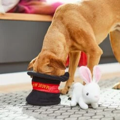 Frisco Magic Rabbit In A Hat 2-in-1 Plush Squeaky Dog Toy -PetSafe Kong Shop 265616 PT3. AC SS1800 V1623352136