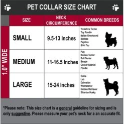 Buckle-Down Polyester Personalized Dog Collar, Zarape 11 Buckle-Down Polyester Personalized Dog Collar, Zarape -PetSafe Kong Shop 266190 PT4. AC SS1800 V1657656525