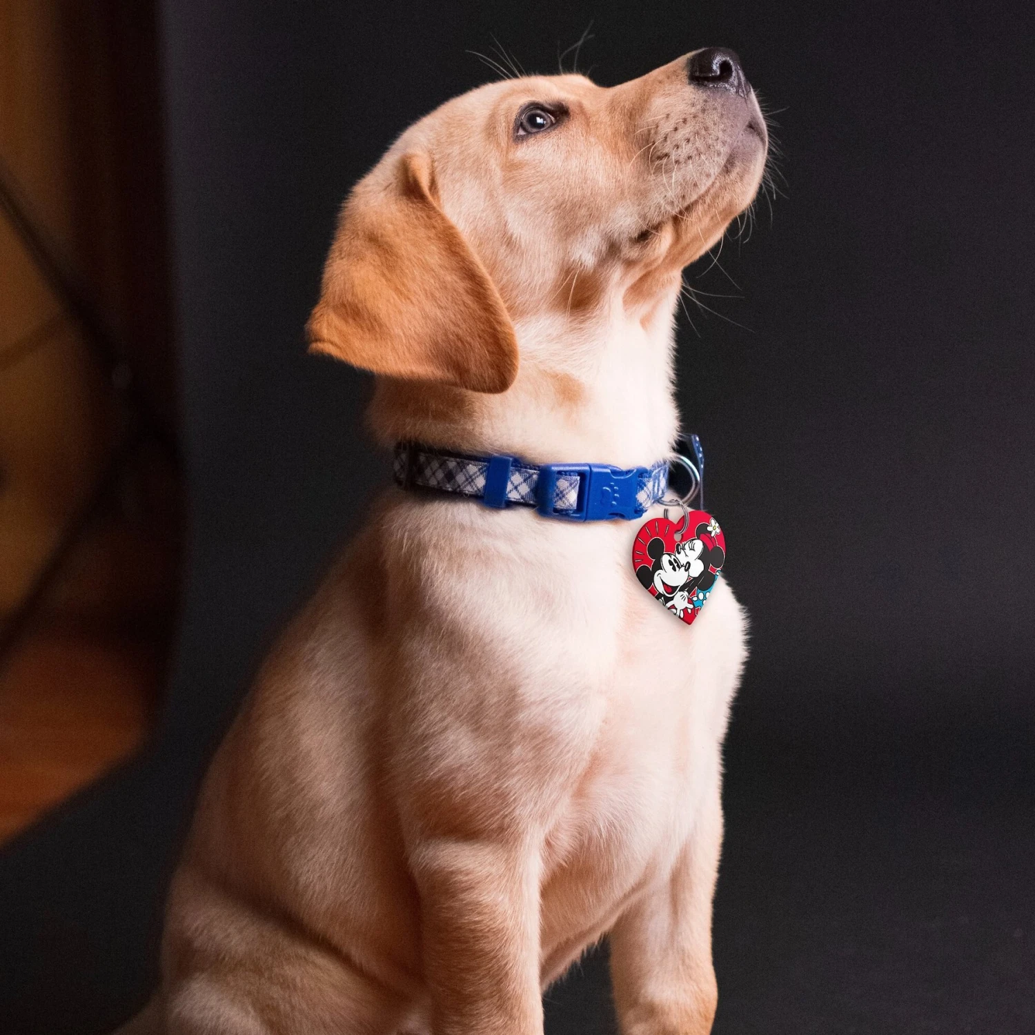 Quick-Tag Disney's Minnie & Mickey Heart Personalized Dog & Cat ID Tag 4 Quick-Tag Disney's Minnie & Mickey Heart Personalized Dog & Cat ID Tag - Image 4