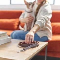 Frisco Top Grain Leather Leash -PetSafe Kong Shop 266521 PT3. AC SS1800 V1619536628