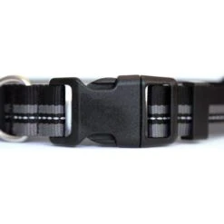 DOG ID The Rock Solid Personalized ID Tag Dog Collar, Rose Gold -PetSafe Kong Shop 266899 PT2. AC SS1800 V1688150549