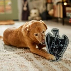 STAR WARS Halloween DARTH VADER Stuffing-Free Flat Plush Squeaky Dog Toy 8 STAR WARS Halloween DARTH VADER Stuffing-Free Flat Plush Squeaky Dog Toy -PetSafe Kong Shop 267870 PT3. AC SS1800 V1689877492