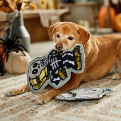 STAR WARS Halloween R2-D2 & C-3PO Stuffing-Free Flat Plush Squeaky Dog Toy -PetSafe Kong Shop 267880 PT3. AC SS1800 V1689878912