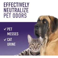 Hoover Clean Complements Carpet Cleaning Formula Booster, 16-oz Bottle, 2 Count -PetSafe Kong Shop 268775 PT3. AC SS1800 V1611268916