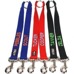 GoTags Personalized Dual Dog Leash Coupler -PetSafe Kong Shop 268813 PT2. AC SS1800 V1611093753
