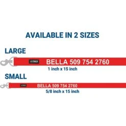 GoTags Personalized Dual Dog Leash Coupler -PetSafe Kong Shop 268813 PT5. AC SS1800 V1629321713