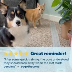 PetSafe Generation 2 ScatMat Curved Dog & Cat Training Mat -PetSafe Kong Shop 269422 PT3. AC SS1800 V1685634710