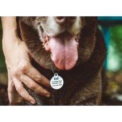 Dog Tag Art St. Francis Protect This Dog Personalized Dog ID Tag -PetSafe Kong Shop 270052 PT4. AC SS1800 V1612318576