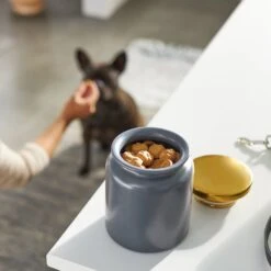 Frisco Modern Gold Rim Ceramic Treat Jar -PetSafe Kong Shop 270190 PT2. AC SS1800 V1620762371