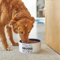 Frisco Food & Paw Non-skid Ceramic Dog Bowl 8 Frisco Food & Paw Non-skid Ceramic Dog Bowl -PetSafe Kong Shop 270195 PT2. AC SS1800 V1620762027