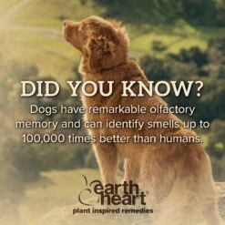 Earth Heart Travel Calm Calming Spray For Dogs -PetSafe Kong Shop 270257 PT5. AC SS1800 V1611787356