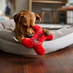 Frisco Halloween Wicked Cute Bone Reversible Plush Squeaky Dog Toy -PetSafe Kong Shop 270357 PT3. AC SS1800 V1624817551