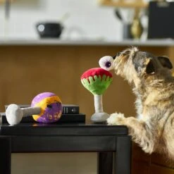 Frisco Halloween Cocktail Plush Squeaky Dog Toy -PetSafe Kong Shop 270361 PT3. AC SS1800 V1624817495