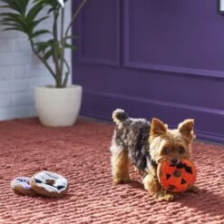 Frisco Halloween Donuts Plush Squeaky Dog Toy -PetSafe Kong Shop 270369 PT3. AC SS1800 V1624817409