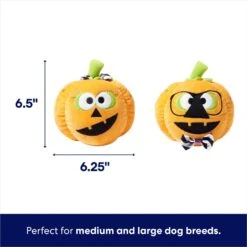 Frisco Halloween Nerdy Jack-o-Lanterns Plush Squeaky Dog Toy -PetSafe Kong Shop 270431 PT1. AC SS1800 V1689873074