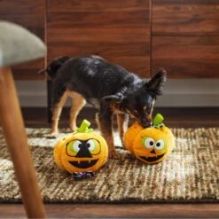 Frisco Halloween Nerdy Jack-o-Lanterns Plush Squeaky Dog Toy -PetSafe Kong Shop 270431 PT3. AC SS1800 V1624817796