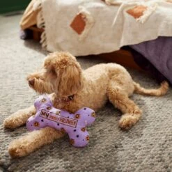 Frisco Halloween My First Halloween Bone Reversible Plush Squeaky Dog Toy 9 Frisco Halloween My First Halloween Bone Reversible Plush Squeaky Dog Toy -PetSafe Kong Shop 270452 PT3. AC SS1800 V1624817314