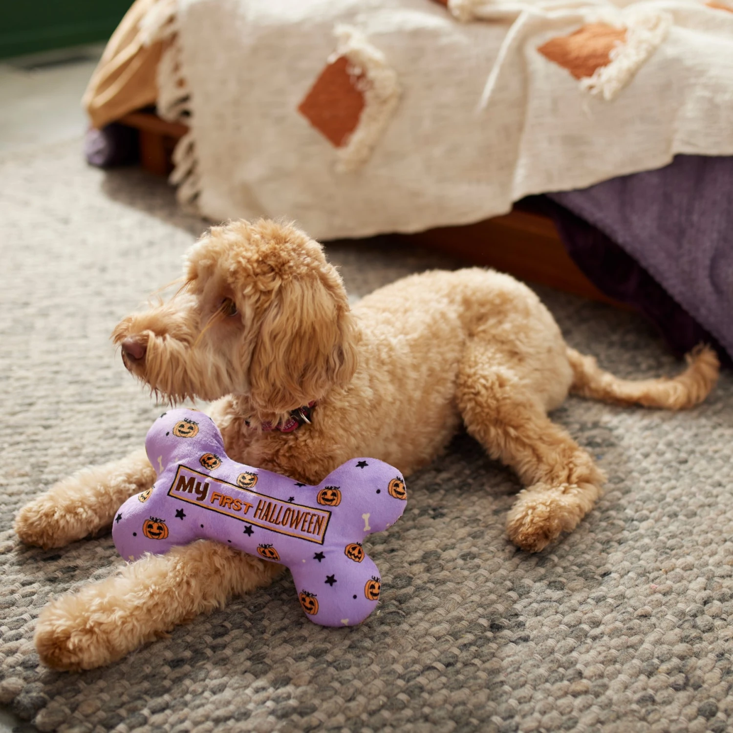 Frisco Halloween My First Halloween Bone Reversible Plush Squeaky Dog Toy 4 Frisco Halloween My First Halloween Bone Reversible Plush Squeaky Dog Toy - Image 4