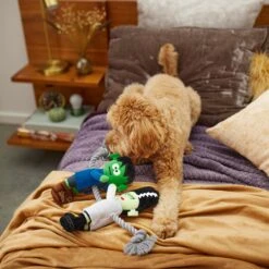 Frisco Halloween Frankenstein & Bride Plush With Rope Squeaky Dog Toy -PetSafe Kong Shop 270496 PT3. AC SS1800 V1624824775