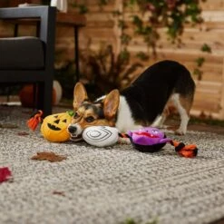Frisco Halloween Haunted Friends Plush With Rope Squeaky Dog Toy -PetSafe Kong Shop 270500 PT3. AC SS1800 V1624825043