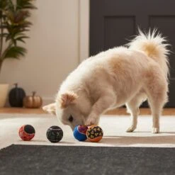 Frisco Halloween Glow In The Dark Fetch Squeaky Tennis Ball Dog Toy -PetSafe Kong Shop 270525 PT3. AC SS1800 V1624824980