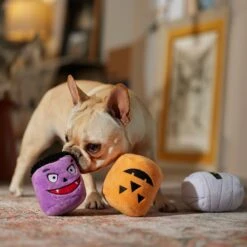 Frisco Halloween Haunted Friends Plush Squeaky Dog Toy, 3 Count 7 Frisco Halloween Haunted Friends Plush Squeaky Dog Toy, 3 Count -PetSafe Kong Shop 270533 PT3. AC SS1800 V1689878438
