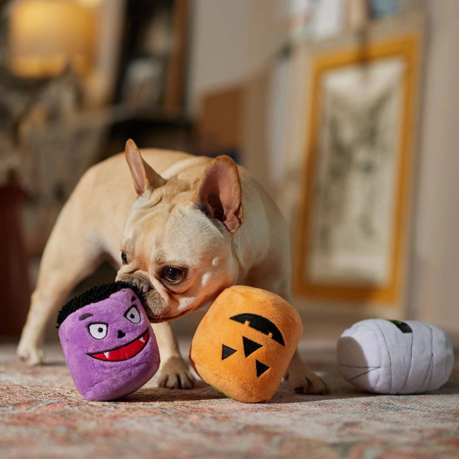 Frisco Halloween Haunted Friends Plush Squeaky Dog Toy, 3 Count 3 Frisco Halloween Haunted Friends Plush Squeaky Dog Toy, 3 Count - Image 3