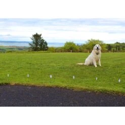 StayFence Pet Containment System Extra Receiver -PetSafe Kong Shop 270618 PT3. AC SS1800 V1623859353