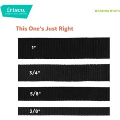 Frisco Solid Polyester Personalized Reflective Dog Leash -PetSafe Kong Shop 270686 PT3. AC SS1800 V1628029676