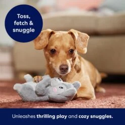 Frisco Camping Squirrel Plush Squeaky Dog Toy 10 Frisco Camping Squirrel Plush Squeaky Dog Toy -PetSafe Kong Shop 271001 PT5. AC SS1800 V1691785245