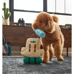 Frisco Camping Backpack Plush Squeaky Dog Toy 5 Frisco Camping Backpack Plush Squeaky Dog Toy -PetSafe Kong Shop 271005 PT3. AC SS1800 V1625009263