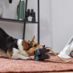 Frisco Camping Binoculars Plush With Rope Squeaky Dog Toy -PetSafe Kong Shop 271009 PT3. AC SS1800 V1625009167