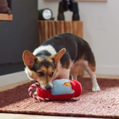 Frisco Camping Lantern Plush With Rope Squeaky Dog Toy -PetSafe Kong Shop 271013 PT3. AC SS1800 V1625160766