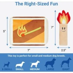 Frisco Camping Match Box 2-in-1 Plush Squeaky Dog Toy -PetSafe Kong Shop 271029 PT1. AC SS1800 V1626368486