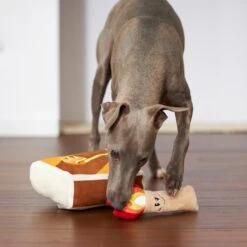 Frisco Camping Match Box 2-in-1 Plush Squeaky Dog Toy -PetSafe Kong Shop 271029 PT3. AC SS1800 V1625008996